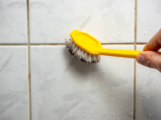Best Toxic Mold Removal  in Reliez Valley, CA
