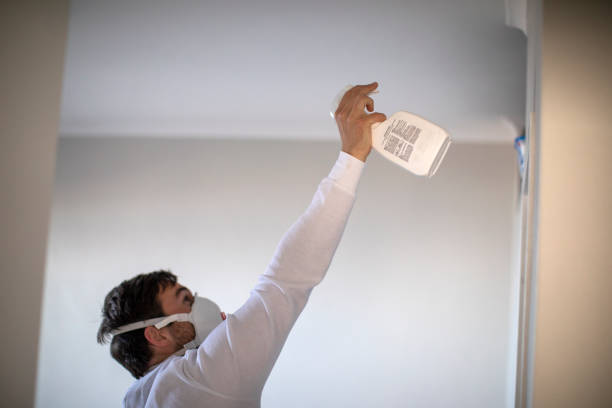 Best Office Mold Removal Services  in Reliez Valley, CA