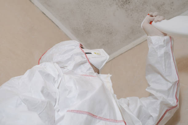 Best Mold Cleaning Services  in Reliez Valley, CA